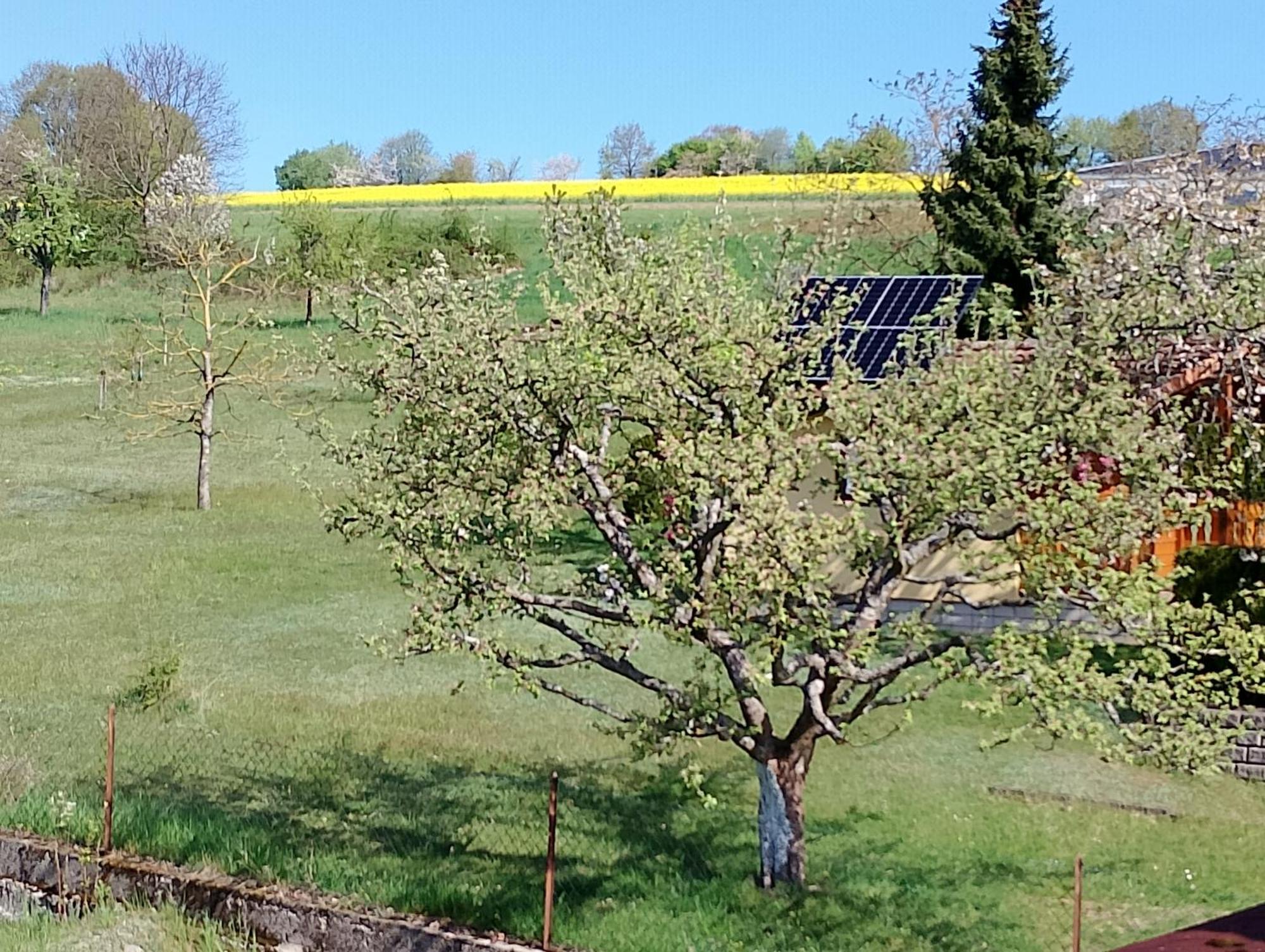 Pension Schmitt Waldfenster Exteriér fotografie