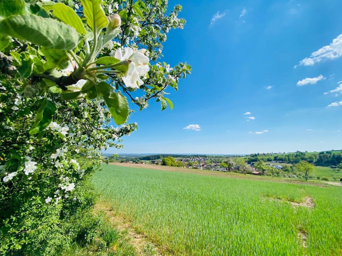 Pension Schmitt Waldfenster Exteriér fotografie
