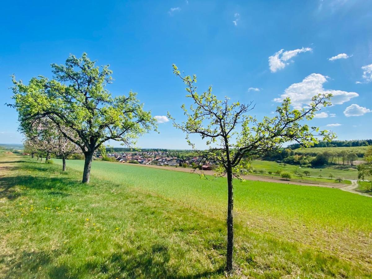 Pension Schmitt Waldfenster Exteriér fotografie