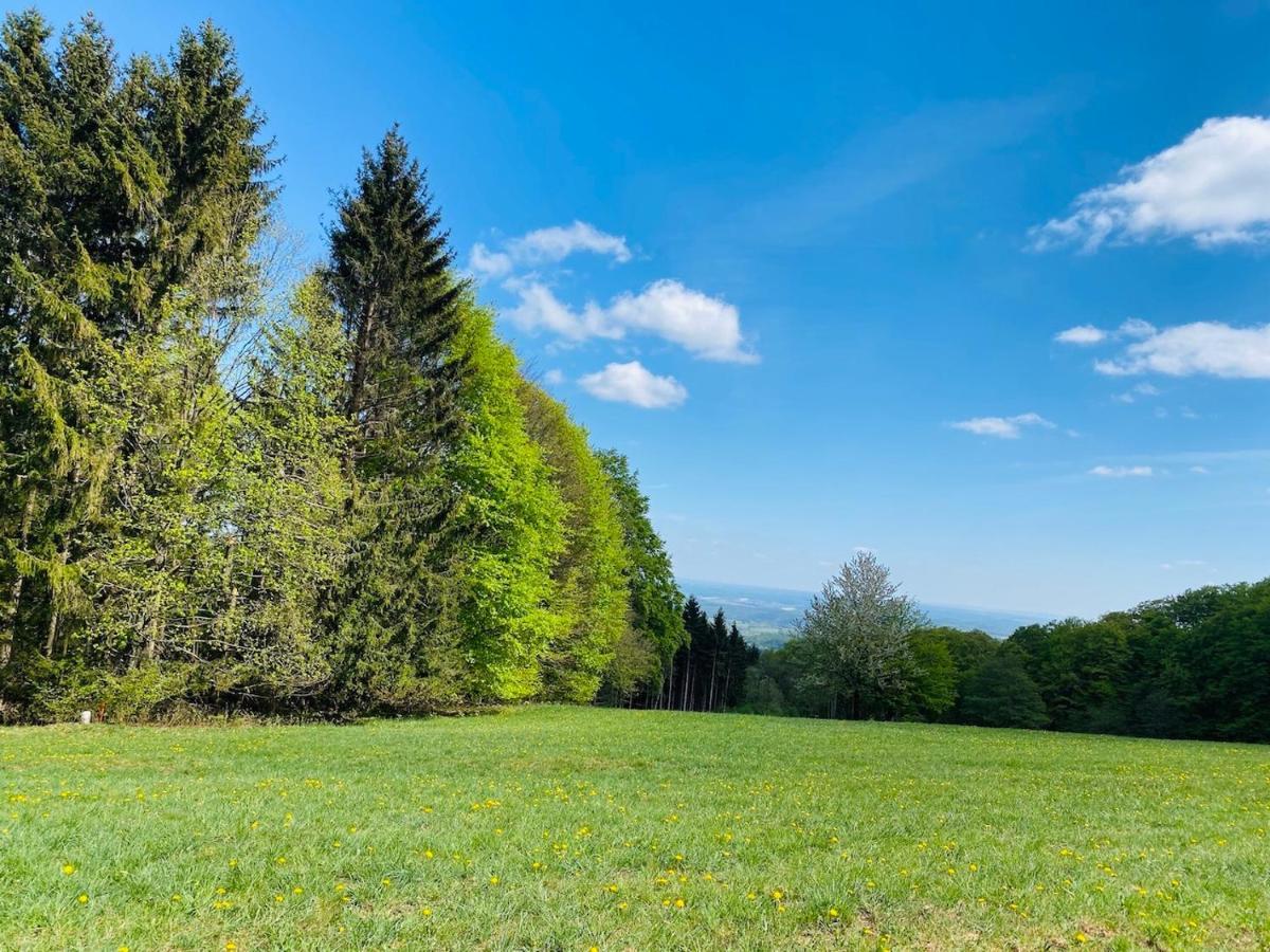 Pension Schmitt Waldfenster Exteriér fotografie