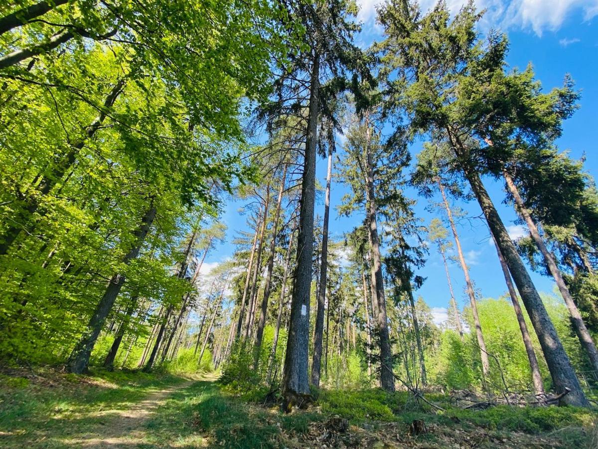 Pension Schmitt Waldfenster Exteriér fotografie