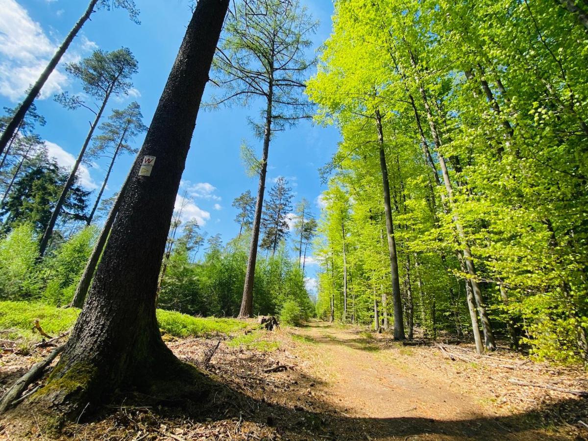 Pension Schmitt Waldfenster Exteriér fotografie
